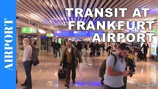 TRANSIT WALK AT FRANKFURT Airport FRA Terminal 1  Connection Flight Transfer Arriving amp Departing [upl. by Asi]